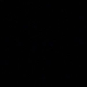 Meet your Posher, Karlie